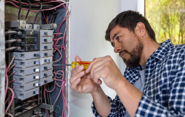 Best Electric Panel Repair  in Stanberry, MO